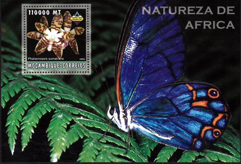 Natureza de Africa