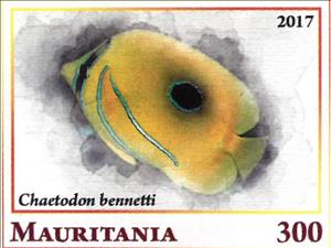 Stamp, Chaetodon bennetti, Cinderellas,  , Animals (Fauna), Fishes
