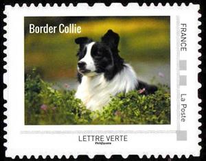 Stamp, Border Collie, France,  , Animals (Fauna), Dogs