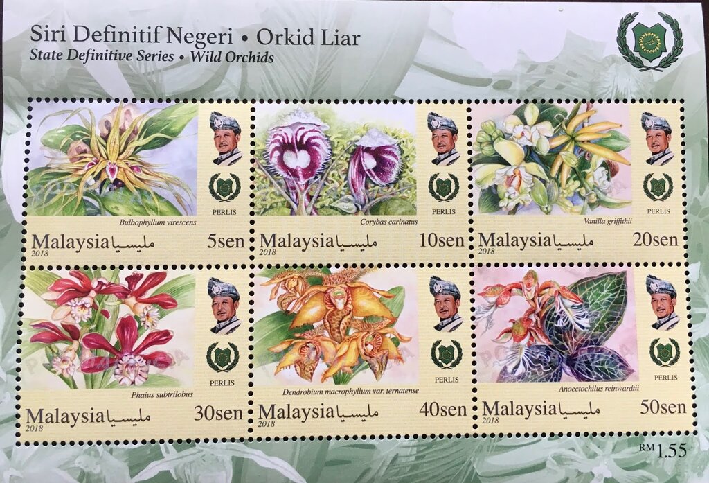 Orchids of Malaysia