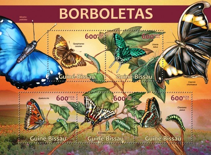 Butterflies