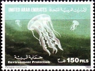 Pelagia noctiluca