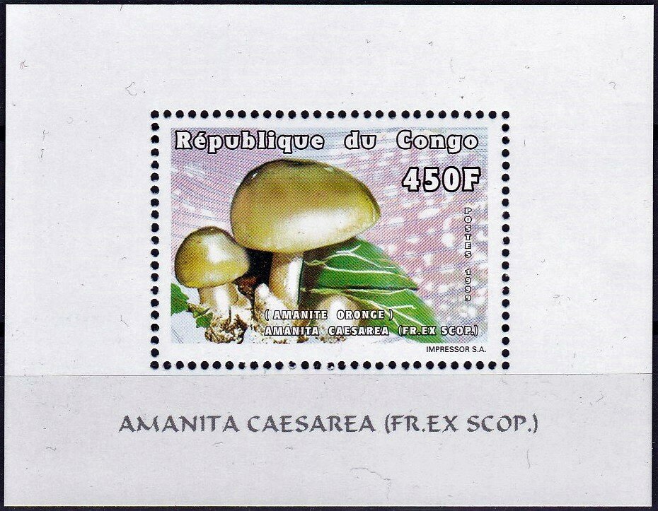 Amanita caesarea