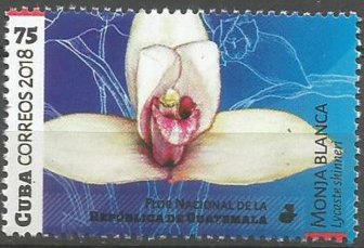 Guatemala