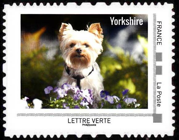 Yorkshire