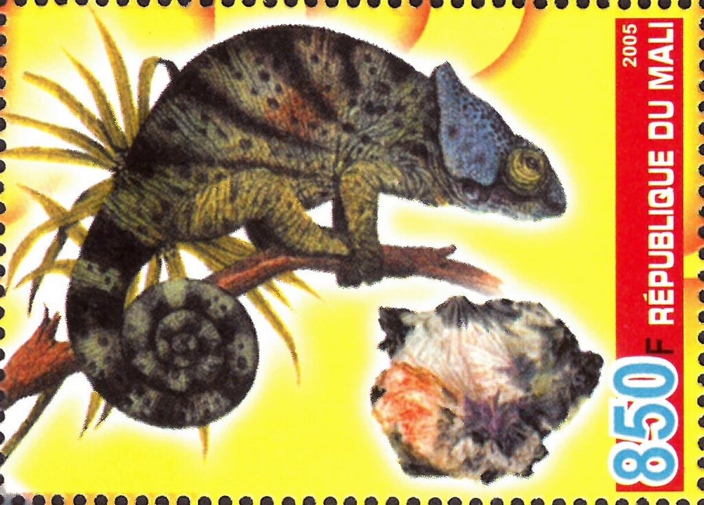 Les Reptiles