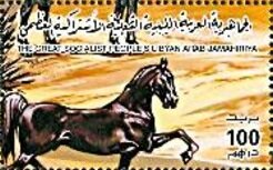 Horses