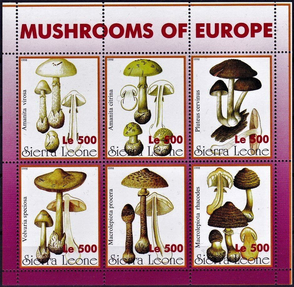 Various Mushrooms