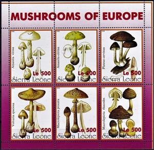 Mini Sheet, Various Mushrooms, Cinderellas,  , Mushrooms