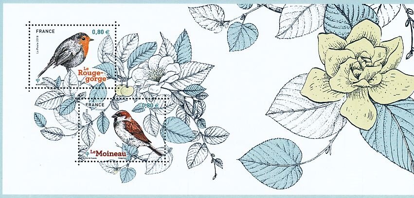 Birds of our Gardens