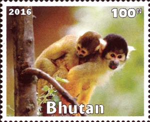 Stamp, Primates, Cinderellas,  , Animals (Fauna), Mammals, Monkeys