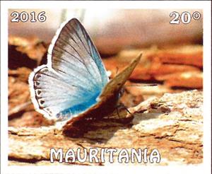 Stamp, Butterflies, Cinderellas,  , Animals (Fauna), Butterflies, Insects