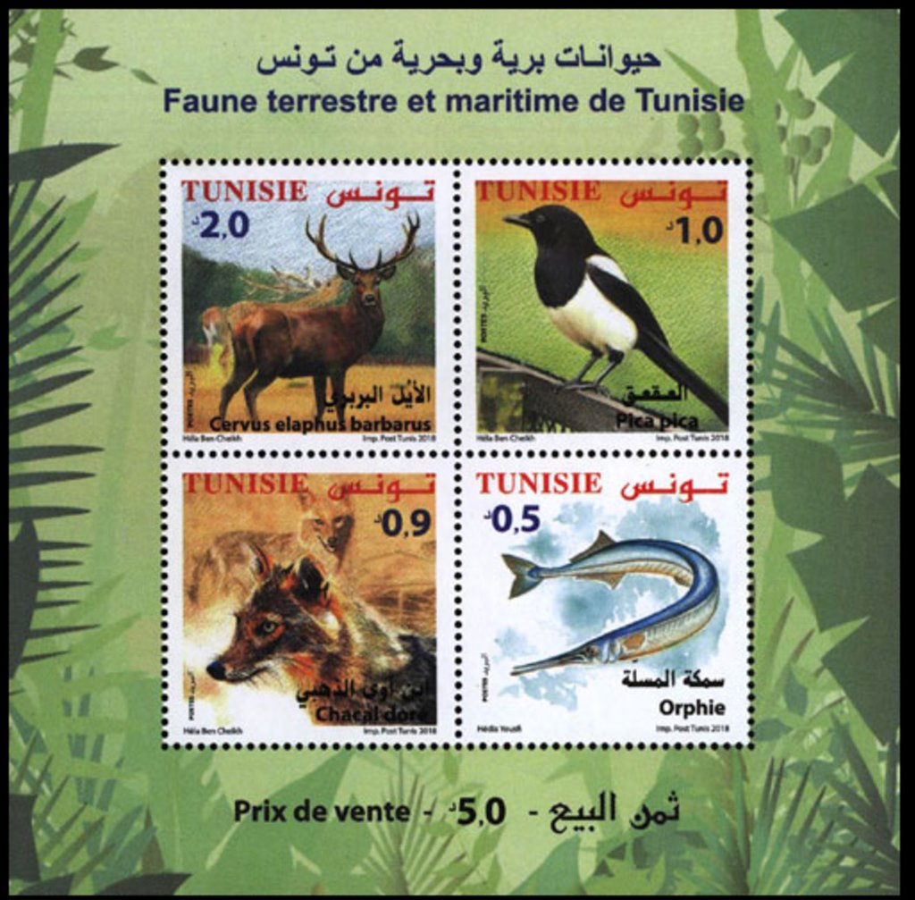 Fauna of Tunisia