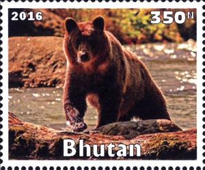 Stamp, Wild Animals, Cinderellas,  , Animals (Fauna), Bears, Mammals