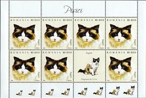 Mini Sheet, Ragdoll (Felis silvestris catus) MS, Romania,  , Animals (Fauna), Cats, Mammals