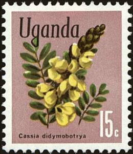 Stamp, Peanut Butter Cassia (Senna didymobotrya), Uganda,  , Flowers, Plants (Flora)