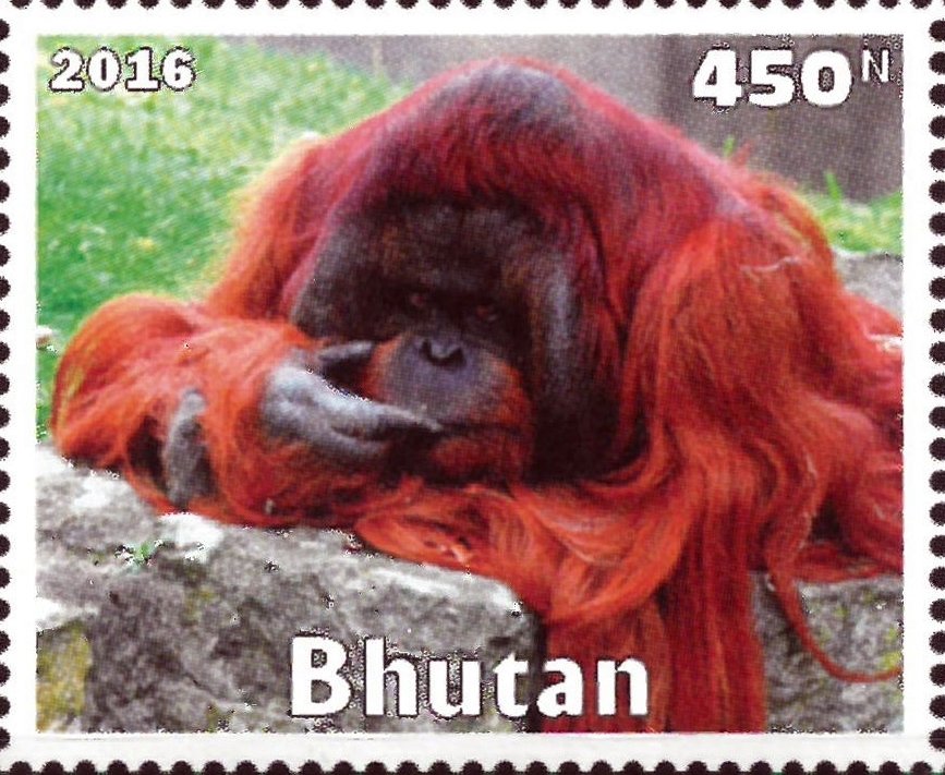 Primates
