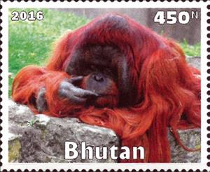 Stamp, Primates, Cinderellas,  , Animals (Fauna), Mammals, Monkeys