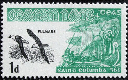 Fulmars - Fulmarus glacialis