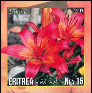 Stamp, Lilium, Cinderellas,  , Flowers, Lilies (Flower), Plants (Flora)