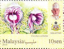 Orchids of Malaysia
