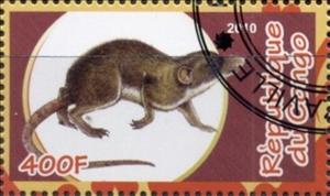 Stamp, Insectivores, Cinderellas,  , Animals (Fauna), Mammals