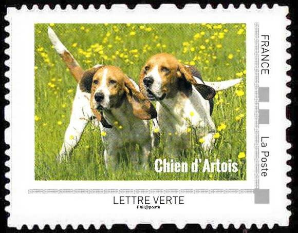 Chien d'Artois