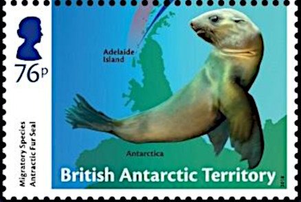 Stamp, Antarctic Fur Seal (Arctocephalus gazella), British Antarctic Territory (BAT),  , Animals (Fauna), Mammals, Sea (Marine) Mammals, Sea Life, Seals (Animals)