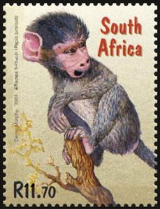 Stamp, Chacma Baboon ((Papio urdinus), South Africa,  , Animals (Fauna), Apes, Chinese New Year, Mammals