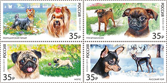 Dog Breeds