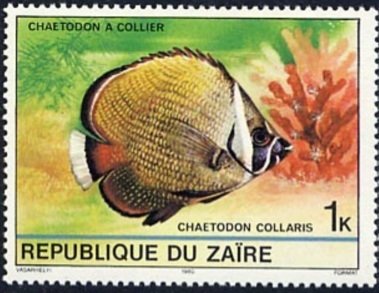 Stamp, Collared Butterflyfish (Chaetodon collare), Zaire,  , Animals (Fauna), Fishes