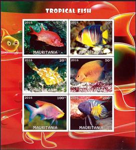 Mini Sheet, Tropical fish, Cinderellas,  , Animals (Fauna), Fishes
