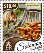 Stamp, Omphalotus olearius, Vulpes vulpes, Solomon Islands,  , Animals (Fauna), Mushrooms