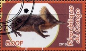 Stamp, Insectivores, Cinderellas,  , Animals (Fauna), Mammals