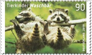 Stamp, Raccoons, Germany, Federal Republic,  , Animals (Fauna), Mammals, Raccoons