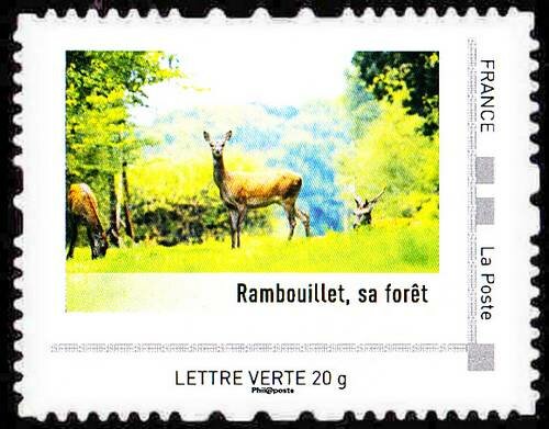 Rambouillet, sa foret