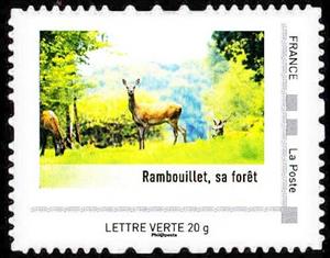Stamp, Rambouillet, sa foret, France,  , Forests