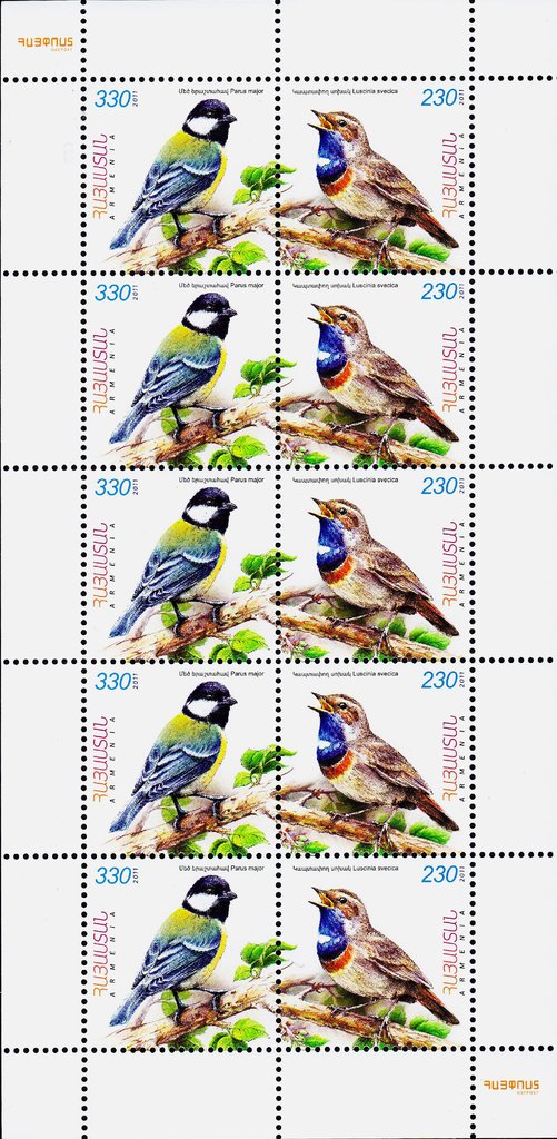Bluethroat (Luscinia svecica), Great Tit (Parus major)