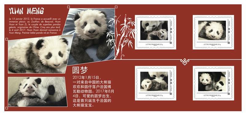 Yuan Meng le Panda de Beauval