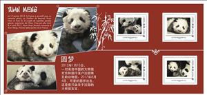 Souvenir Sheet, Yuan Meng le Panda de Beauval, France,  , Animals (Fauna), Bears, Giant Pandas, Mammals