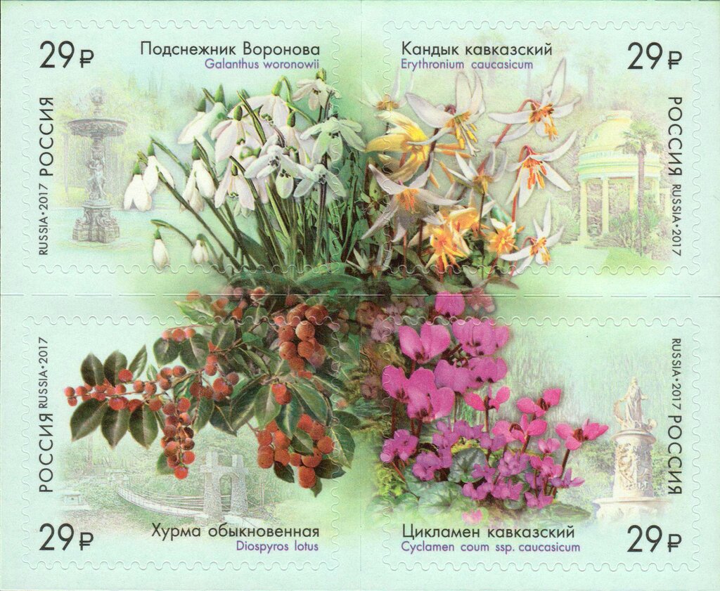 To the 125th anniversary of the Sochi park "Arboretum"
