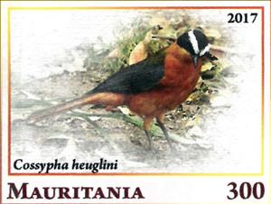 Stamp, Cossypha heuglini, Cinderellas,  , Animals (Fauna), Birds