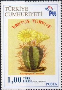 Stamp, Cacti, Personalized and Private Mail Stamps,  , Cacti, Plants (Flora)