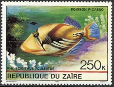 Picasso Triggerfish (Rhinecanthus aculeatus)