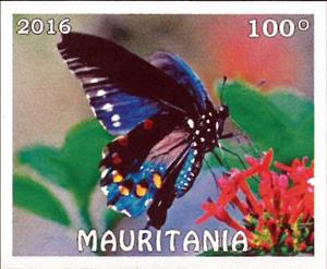 Stamp, Butterflies, Cinderellas,  , Animals (Fauna), Butterflies, Insects