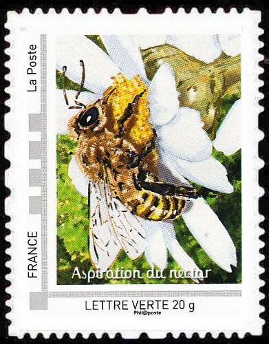 The bees that's life Aspiration du Nectar