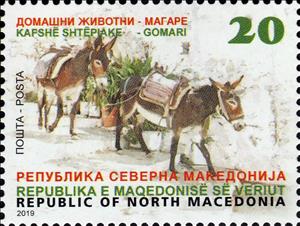 Stamp, Donkeys, Macedonia,  , Animals (Fauna), Donkeys, Mammals