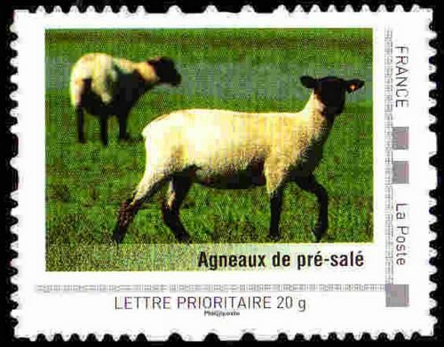 Agneaux de pre-sale