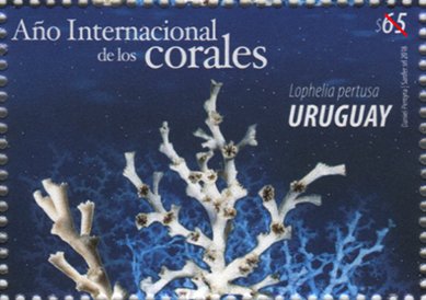 Stamp, Interenational Year of Corals, Uruguay,  , Animals (Fauna), Corals and Sponges, International Years, Sea Life