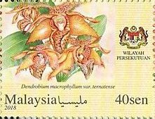 Stamp, Orchids of Malaysia, Federal Malay States,  , Orchids